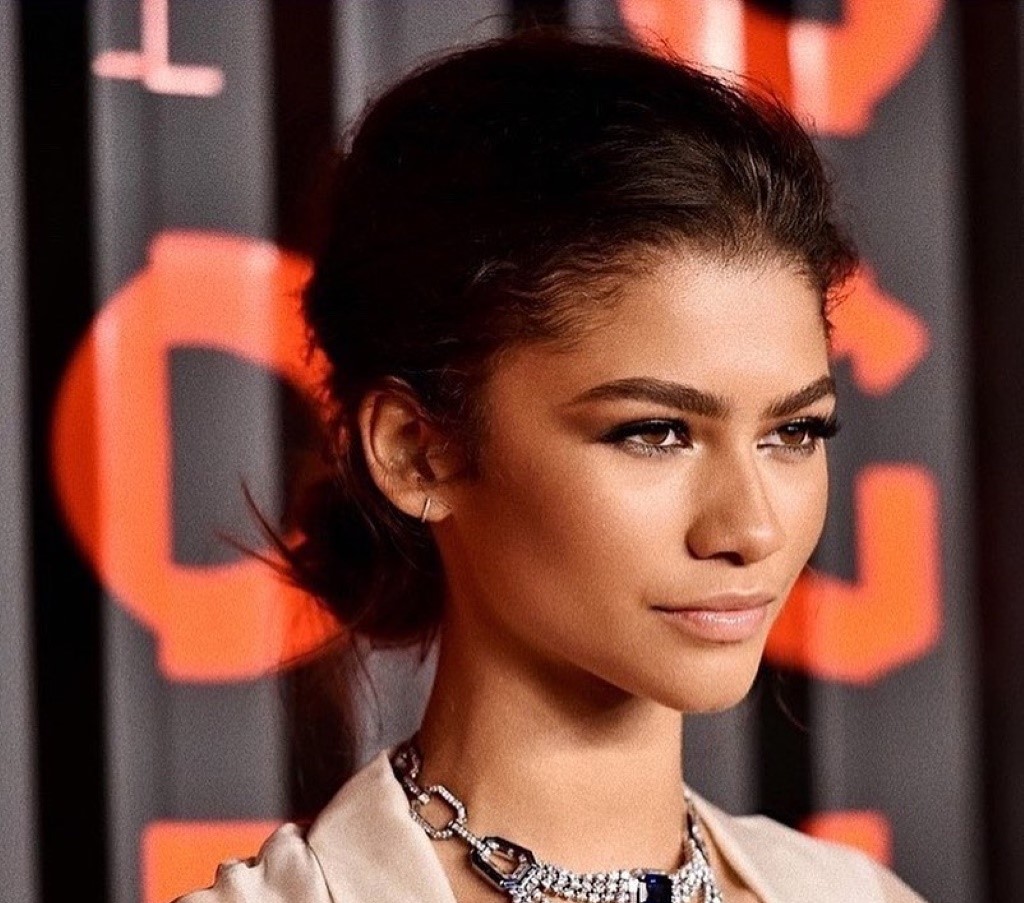 Zendaya may be the perfect cast as Vivi Live action given she can portray Vivi's Egyptian roots.