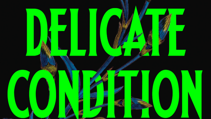 The cover page of Delicate Condition novel.