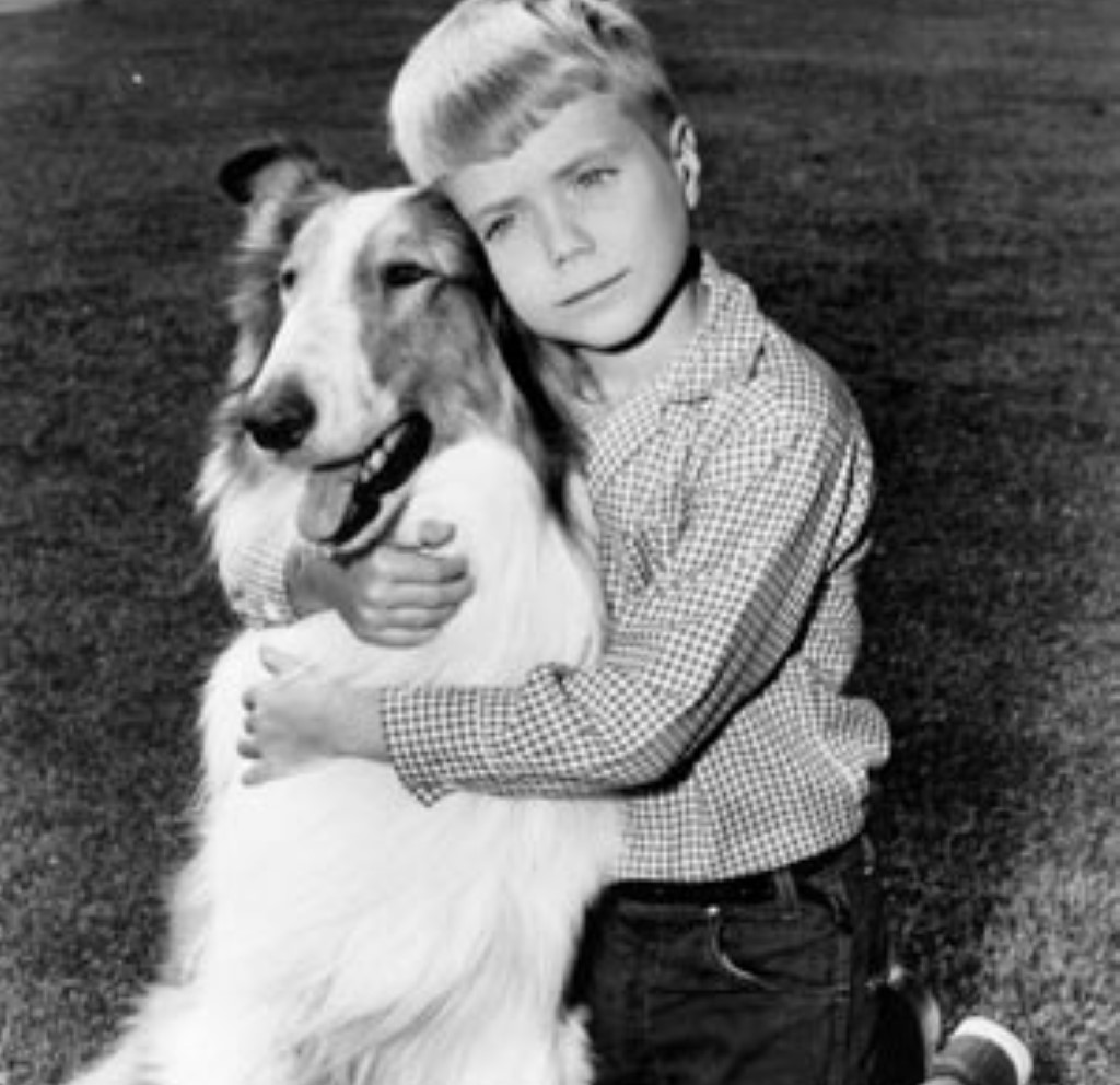 A baby boy with a dog on CBS Sundays (1960-1961)