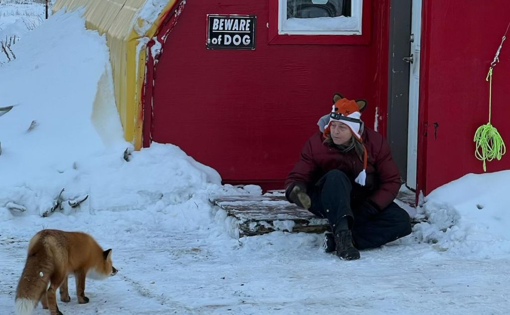 Sue Aikens at Alaska feeding fox