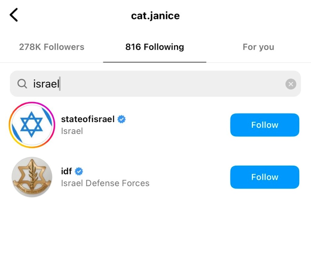 Cat Janice following