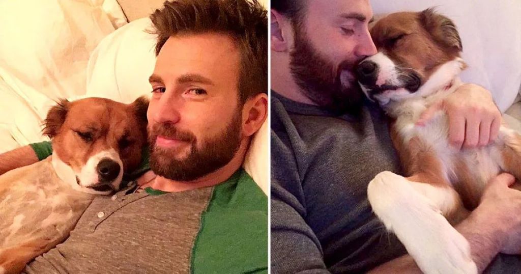 Chris Evans holding a dog two pictures