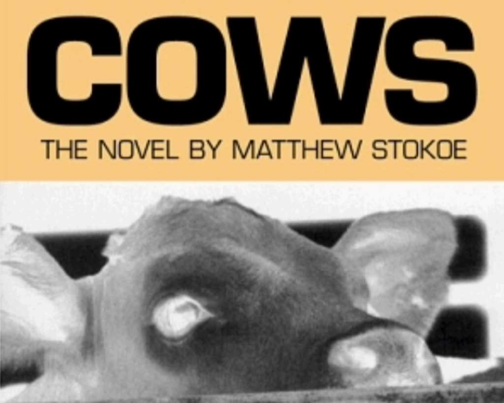 Cows Matthew Stokoe paperback cover