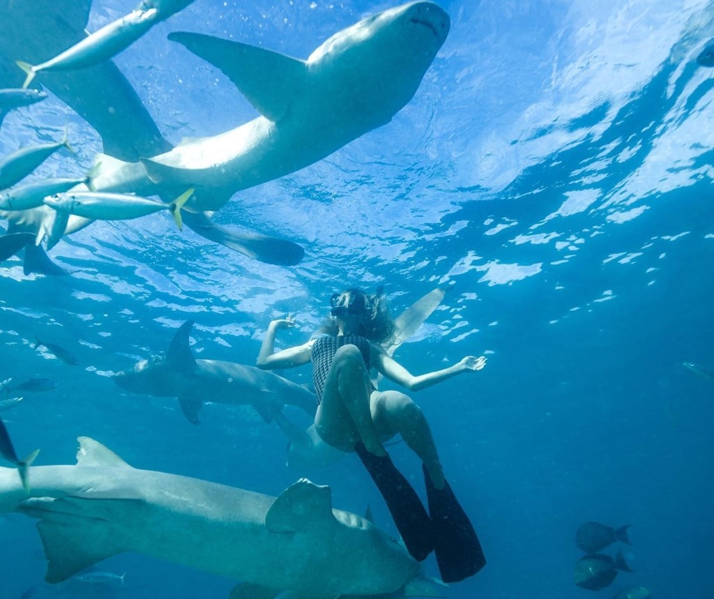 Hudson bravely scuba dives, encircled by sharks.